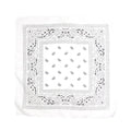 Paisley Classic Bandana 01 (White)
