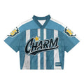 Charm Stripe Mesh Boxy Jersey