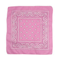 Paisley Classic Bandana 01 (Pink)
